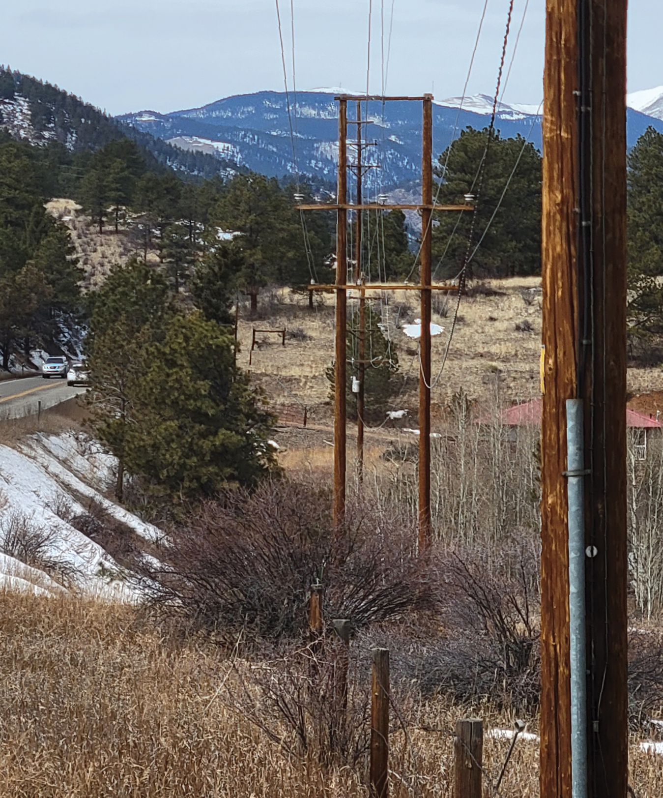 Wood Two Pole